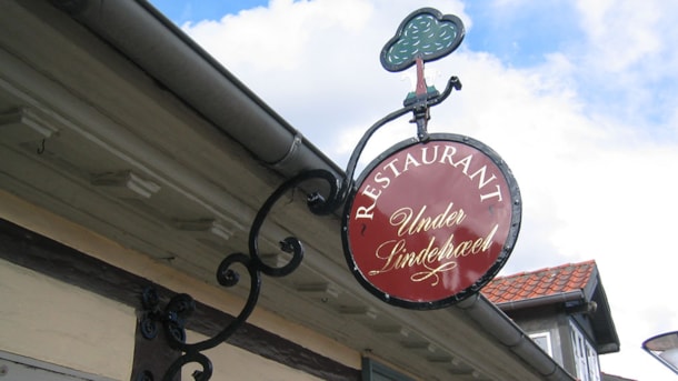 Under Lindetræet (Unter der Linde)